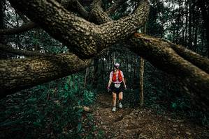 BIB: 
                            <button type="button" onclick="openModal(25701017)" class="btn btn-primary btn-sm float-right btn-popup" data-toggle="modal" data-target=".modal-high-quality">
                        <i class="fas fa-shopping-cart"></i> Add to Cart
                    </button>
                                            <button type="button" onclick="isThisMe(25701017, true)" class="btn btn-success btn-sm float-right btn-popup btn-isme hidden" data-toggle="tooltip" data-placement="bottom" title="นี่คือรูปของคุณใช่ไหม คลิกที่นี่เพื่อเอาเข้าอัลบั้ม">
                        <i class="fas fa-plus"></i> Add to album
                    </button>
                    <button type="button" onclick="isThisMe(25701017, false)" class="btn btn-warning btn-sm float-right btn-popup btn-isnotme hidden">
                        <i class="fas fa-ban"></i> Remove from album
                    </button>